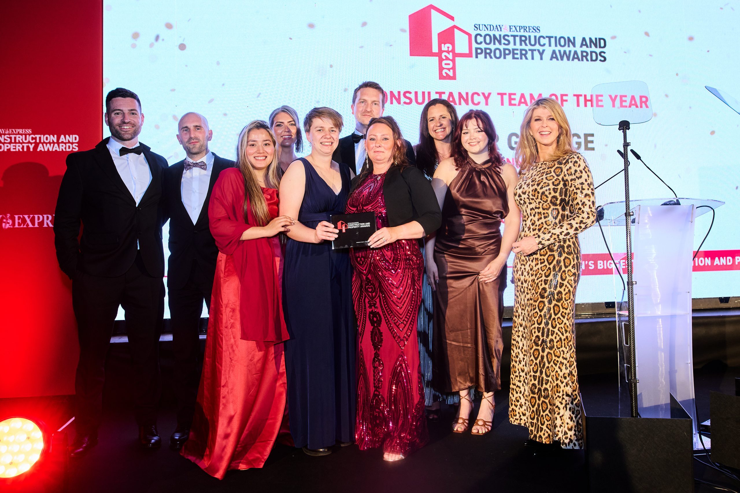 Consultancy Team of the Year